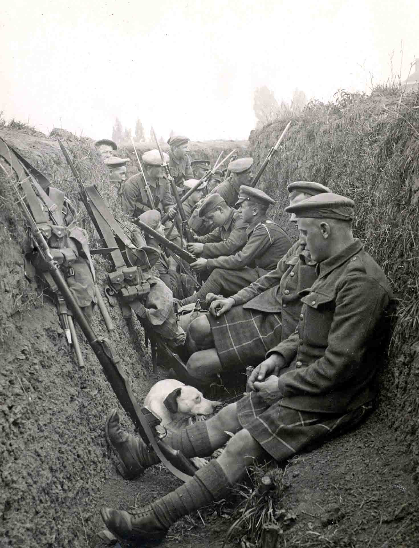 Casualties Who Died In Wars